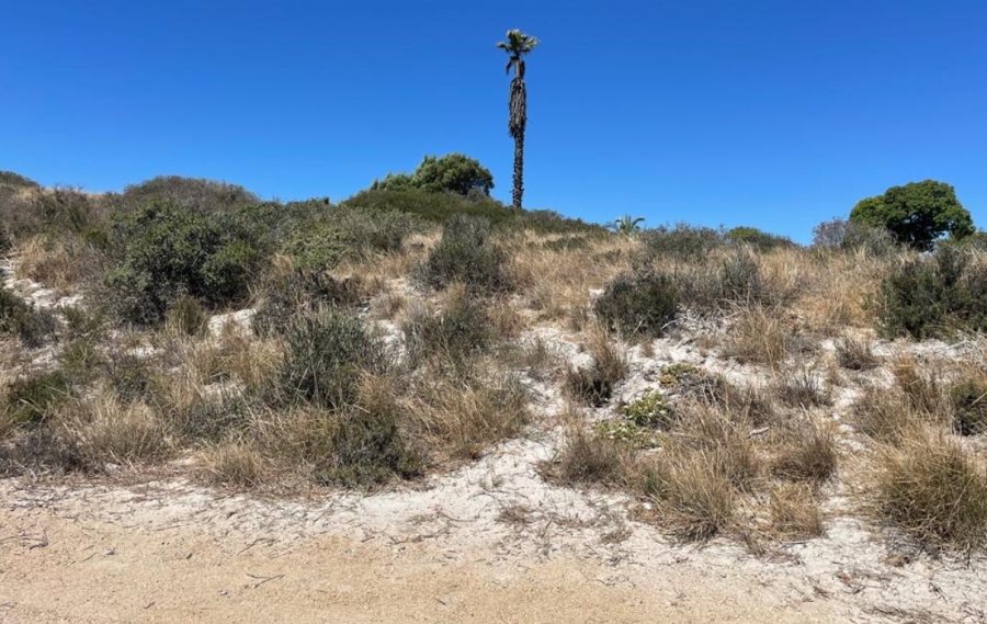 0 Bedroom Property for Sale in Shelley Point Western Cape